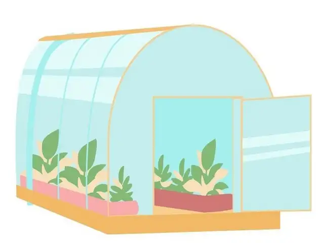 plants for greenhouse