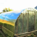 cattle panel greenhouse design