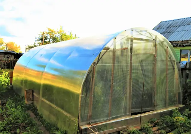 cattle panel greenhouse design